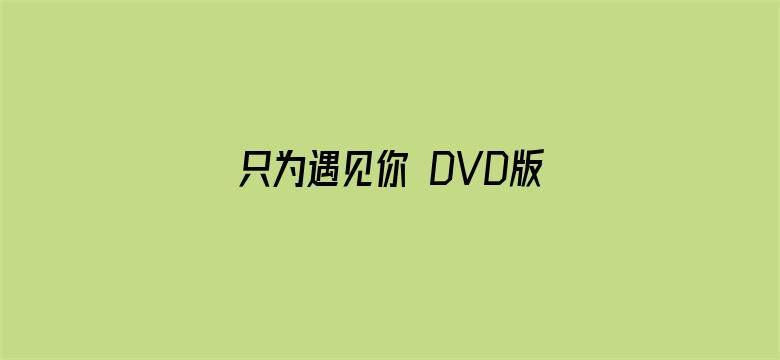 只为遇见你 DVD版